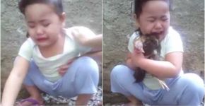Garotinha chora aos prantos por morte de sua galinha de estimação