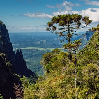 Featured mobile: Hotéis rurais ajudam a diversificar o turismo na Serra Catarinense