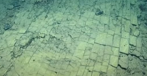Foto: (The Ocean Exploration TrustEVNautilusYouTube Screenshot))