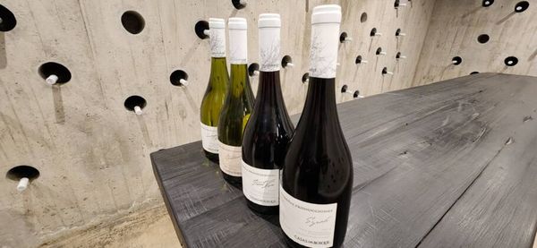 Rótulos da vinícola 