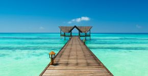 Foto: (endhals/iStock)