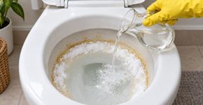 Os especialistas em limpeza concordam: para tirar o amarelado do vaso sanitário, use bicarbonato e vinagre nesta ordem