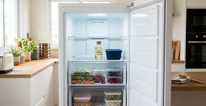 Nas casas mais organizadas da Suíça o freezer não tem aquele gelo acumulado porque usam uma camada fina de óleo vegetal nas paredes