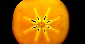 É caqui, não é tomate: aprenda receitas com o fruto asiático