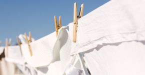 Foto: (iStock/Ramon Portelli)
