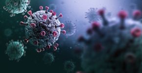 Foto: (loops7/istock)