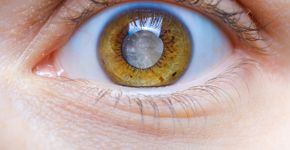 Foto: (iStock/Zarina Lukash)