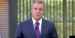 Foto: (Reprodução/TV Globo)