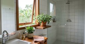 A planta ideal para banheiro iluminado: não exige sol direto, tolera umidade do ar e cabe em espaços pequenos
