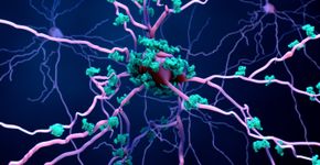 Foto: (iStock/Design Cells)