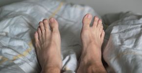 Foto: (Wachiwit/istock)