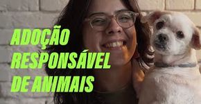 Descubra 3 bons motivos para adotar um pet