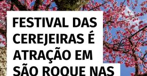 Festival das Cerejeiras é destaque em São Roque nas férias