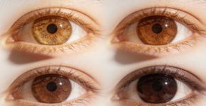 A cor dos seus olhos revela sobre seu verdadeiro talento