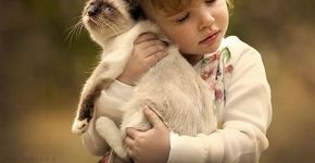 Mãe cria série de fotos retratando a convivência de seus filhos com animais