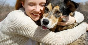 Adotar um cachorro pode ajudar a prevenir a depressão, indica Harvard