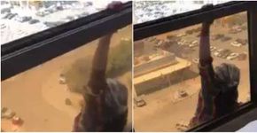 Mulher filma queda de empregada de janela no 7º andar e é detida