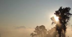 Foto: (Eric Grimaldi/istock)