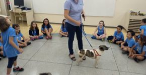 Escola em SP permite que alunos levem animais de estimação