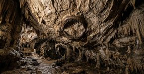 Imagina só: Você entra na caverna durante um passeio e encontra tubarões: um guarda florestal descobre fósseis de predadores de 3 a 3 metros que nadaram aqui há 325 milhões de anos no teto desta caverna