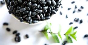 Brasil consome 1/5 dos agrotóxicos produzidos no mundo