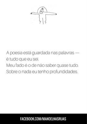 divulgação