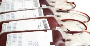 Doadores de sangue têm direto a meia entrada