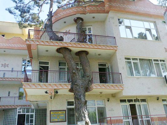 As casas unem o moderno com a natureza (Imagem: Report)