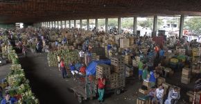 Greve dos caminhoneiros causa escassez de alimentos no RJ e em SP