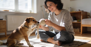 Como os pets escolhem a pessoa preferida da casa? Os critérios vão te surpreender