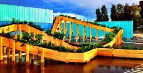 Finlandeses trocam plantas por passagem de ônibus e ajudam a construir jardim urbano