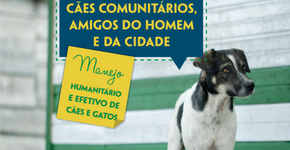 ONG lança cartilha sobre práticas de bem-estar de cães e gatos
