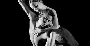 Coreografiasda Cia. Cisne Negro