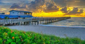Foto: (Divulgação/The Palm Beaches)