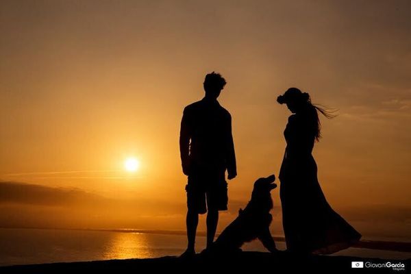 Cachorros de diferentes raças e tamanhos e compõe as fotos do book do casamento ou na própria cerimônia (imagem: Giovani Garcia) 