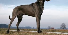 Foto: (RalfWeigel/istock)