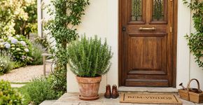 Para que serve colocar alecrim na porta de entrada e como podar para ele nunca secar os galhos no vaso