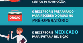 Dia da Doação de Órgãos: tire suas dúvidas sobre transplantes