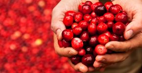 Foto: (iStock/WilshireImages)