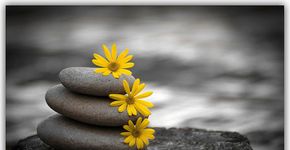 Workshop de Terapia Reich em Niterói