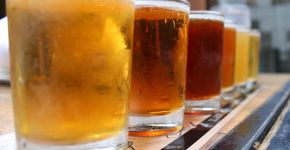 Festival de Outono ocupa rua com cervejas, food trucks e shows