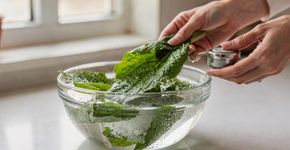 Receita para lavar vegetais em 5 minutos! Uma dica secreta para manter os vegetais crocantes por mais tempo: deixe-os de molho em água com sal, eliminando eficazmente ovos de parasitas e sujeira