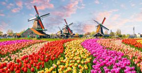 Foto: (Olena_Z/iStock)