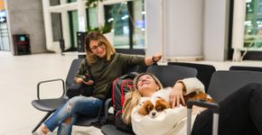 Foto: (Istock/Su Arslanoglu)