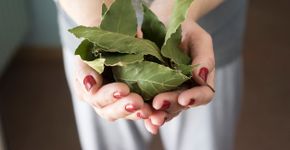 Foto: (Michele_Caldarisi/istock)