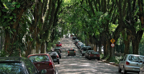Essa rua brasileira tem algo tão raro que parece de outro mundo