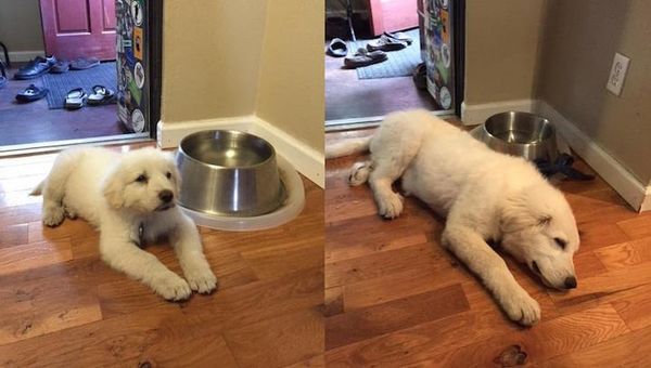 3 meses de diferença (Imagem: : GoAwyB8N))