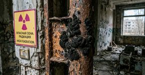 Um fungo descoberto nas profundezas de Chernobyl chamou a atenção dos cientistas por uma habilidade incomum
