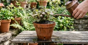 Para que serve o pequeno furo redondo na base do vaso de plantas?