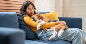 10 nomes para cachorros tranquilos 